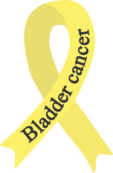 Bladder Cancer Ribbon decal 2