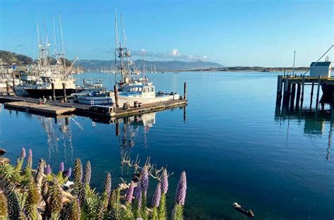 What To Do In Morro Bay