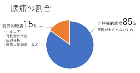 理学療法士が考える非特異的腰痛の評価・考え方・治療戦略！ Reharock〜リハロック〜