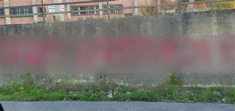 Scritta Antisemita Su Un Muro Di Parghelia Il Sindaco Denuncia