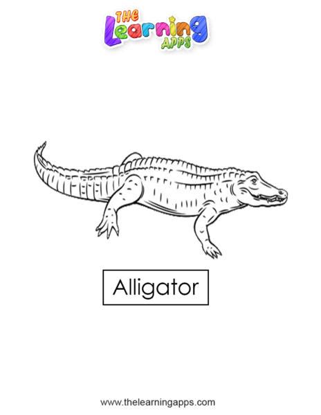 Download Free Printable Alligator Worksheet For Kids