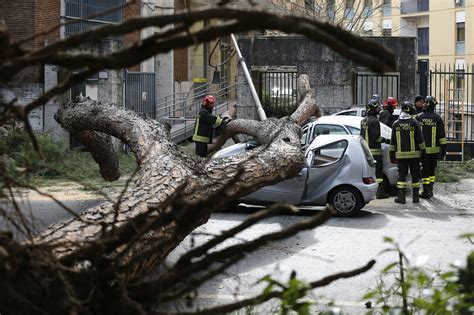 Roma Cade Un Albero A Causa Del Vento Fortissimo E Travolge Un