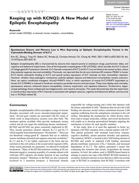 Pdf Keeping Up With Kcnq2 A New Model Of Epileptic Encephalopathy