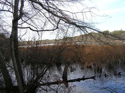 Southavencountyparklake Olympus Digital Camera Flickr