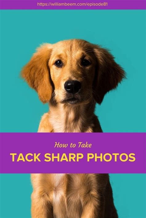 Tack Sharp Photos: How to Take Them with Your DSLR