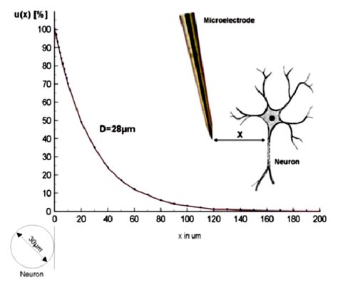 On The Cell Surface A Recording Electrode Conducts 100 Of The Download Scientific Diagram