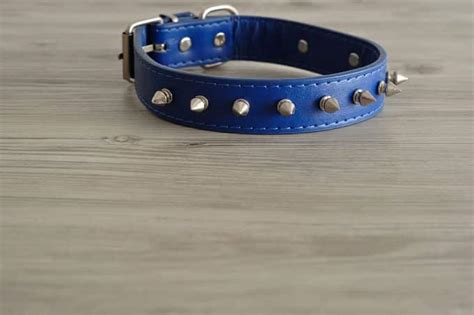 Are Spiked Collars Humane? Should You Get Them for Your Dog?