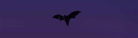 11 Vampire Bat Facts About The Blood-loving Mammals