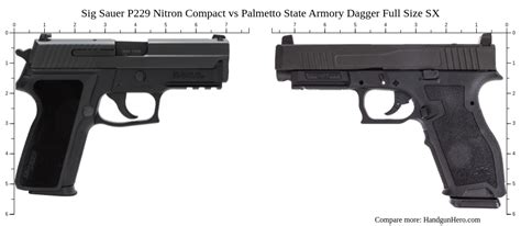 Sig Sauer P Nitron Compact Vs Palmetto State Armory Dagger Full Size