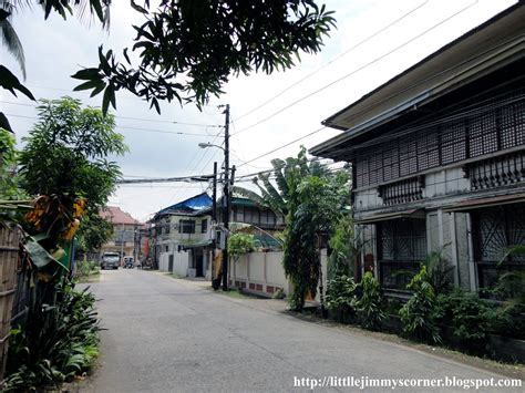 Philippine Ancestral Home Mostly In Visayan And Luzon Provinces