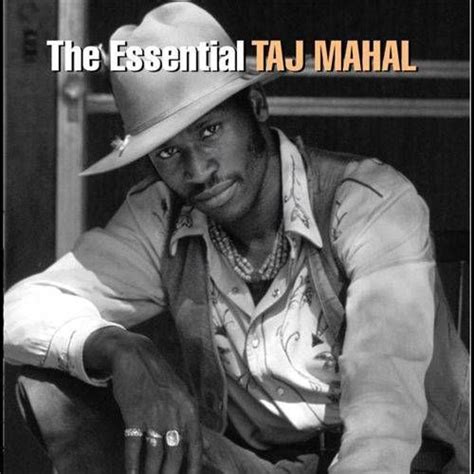 Taj Mahal - The Essential Taj Mahal (CD) - Amoeba Music