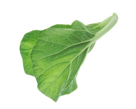 Premium Photo Bok Choy Vegetable Isolated On White Background