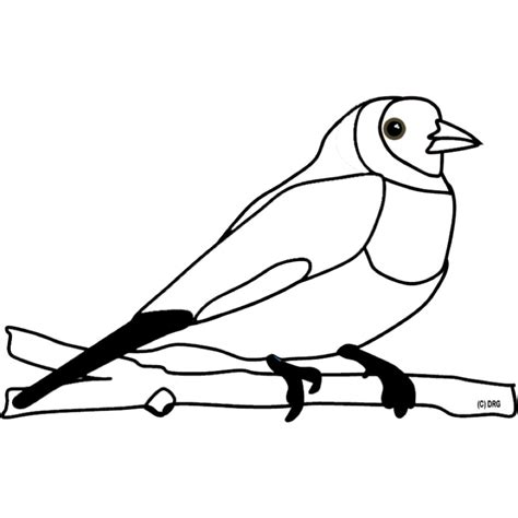 Vogelbilder Zum Ausmalen Vogel Zum Ausmalen Zum Ausmalen