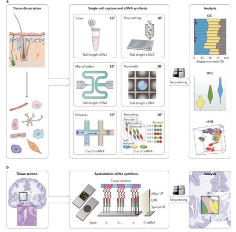 Scrna Seq Sam Note