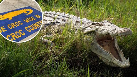 Be Crocwise How To Be Safe In And Around Top End Waterways Daily