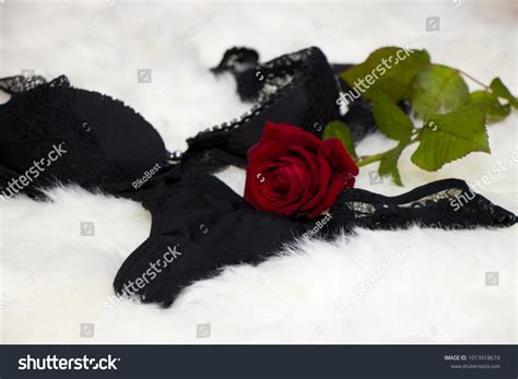 Sexy Black Lingerie Bra Red Rose Stock Photo Shutterstock