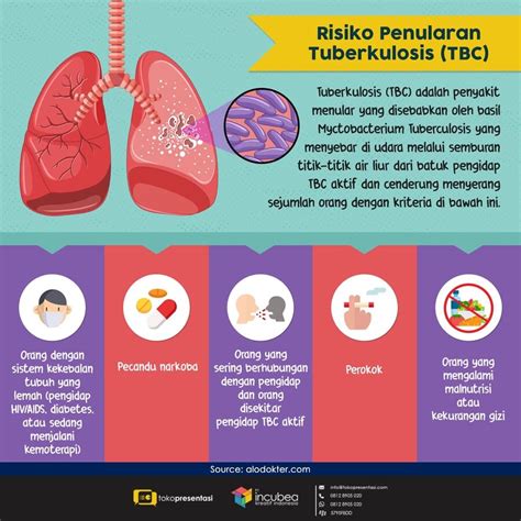 Epidemiologi Penyakit Menular Tuberkulosis Paru Hot Sex Picture