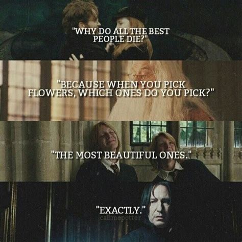 lily and james potter on Tumblr