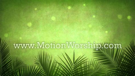 Palm Sunday Branches Green Worship Motion Background Youtube