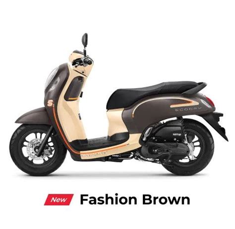 Honda Scoopy Price Specs Mileage Colours Photos And Reviews