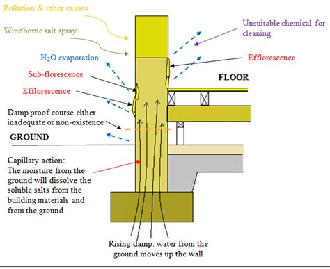 Causes and process of salt crystallisation (Harun, 2011) | Download ...