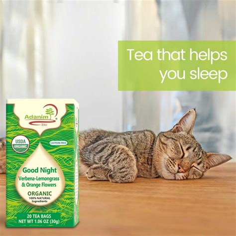 Sleep Time Tea Bundle - Organic Teas for a Peaceful Night's Sleep