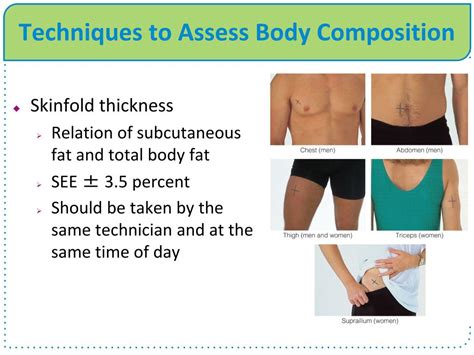 Ppt Body Composition Powerpoint Presentation Free Download Id4823322