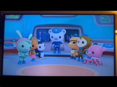 Octonauts Creature Report Barracuda YouTube