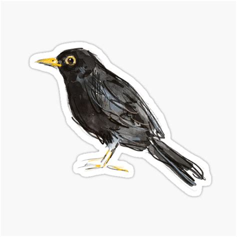 Blackbird Sticker For Sale By Lobitos Redbubble