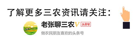 2018年拆遷新規，農民要留意這5點，將關係到補償金額的多與少！ 每日頭條