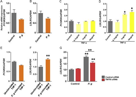 Expression Of Pcsk And Ldlr Relative To Gapdh In Hepg Cells The