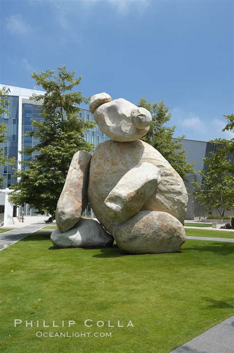 Bear Ucsd University Of California San Diego La Jolla 20849