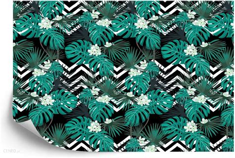 Doboxa Fototapeta Vinyl Strukturalny Liście Monstera 90X60 A2 Opinie