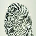 What Is a Patent Fingerprint? | Bizfluent