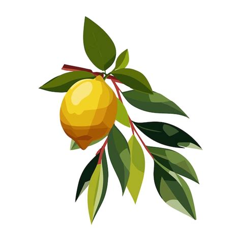 Premium Vector Lemon Fruit On A Branch Citrus Tropical Plant Vector