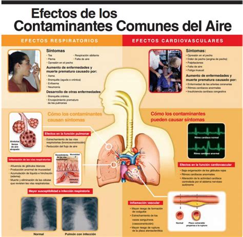 Investigador Del Conicet Detectó 4700 Puntos De Quema De Basura En