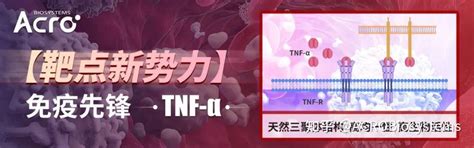 【靶点新势力】免疫先锋：肿瘤坏死因子 α（tnf α） 知乎