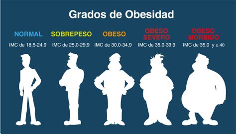 Cu Les Son Las Diferencias Entre El Sobrepeso Y La Obesidad