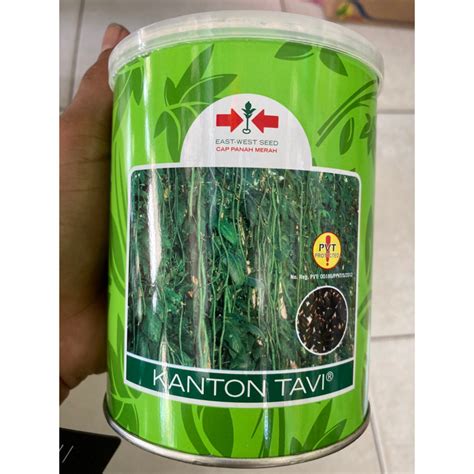 Jual Benih Kacang Panjang Kanton Tavi 500g Shopee Indonesia