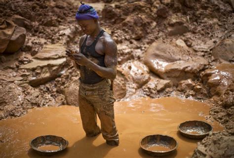 El Devastador Impacto De Los Conflictos En El Medio Ambiente