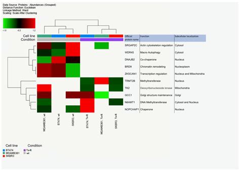 Membranes | Free Full-Text | Lipid Metabolism Reprogramming and ... 