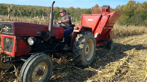 Traktor Univerzal Bera Sip Tornado Berba Kukuruza Youtube