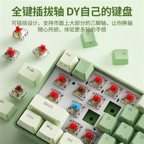 Bow G D Hot Plug Wireless Mechanical Keyboard Dual Mode Bluetooth External Laptop Red Shaft Tea