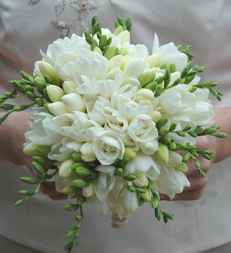 white freesia bouquet | Flower bouquet wedding, Freesia bouquet ...