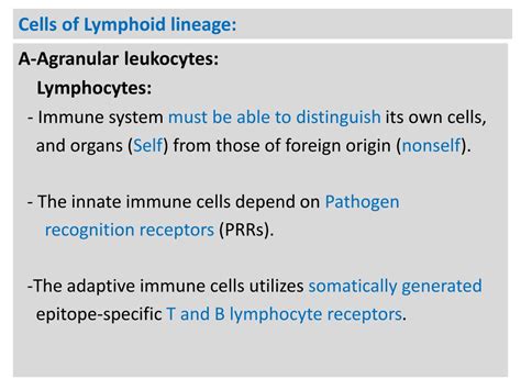 PPT Immune Cells Receptors And Markers PowerPoint Presentation