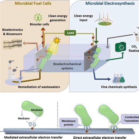 An Overview On Bioelectrochemical Systems BESs Clean Electricity