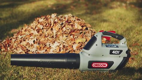 Bl300 Cordless Leaf Blower Oregon Products