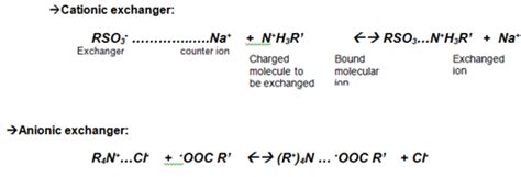 What Is Ion Exchange Chromatography And Its Applications