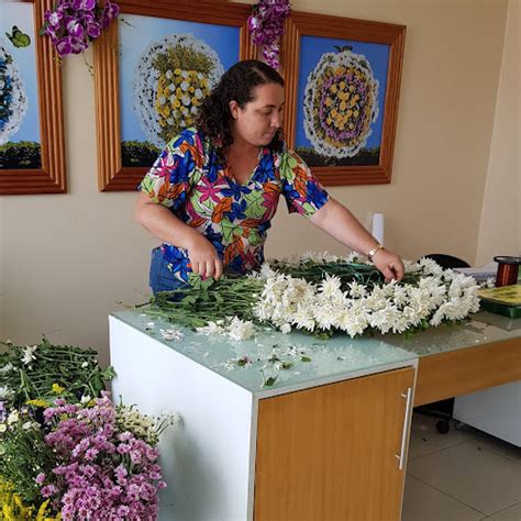 Avalia Es Sobre Floricultura L Tus H Floricultura Em Teresina