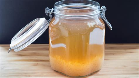 Resep Water Kefir Kaya Probiotik Food